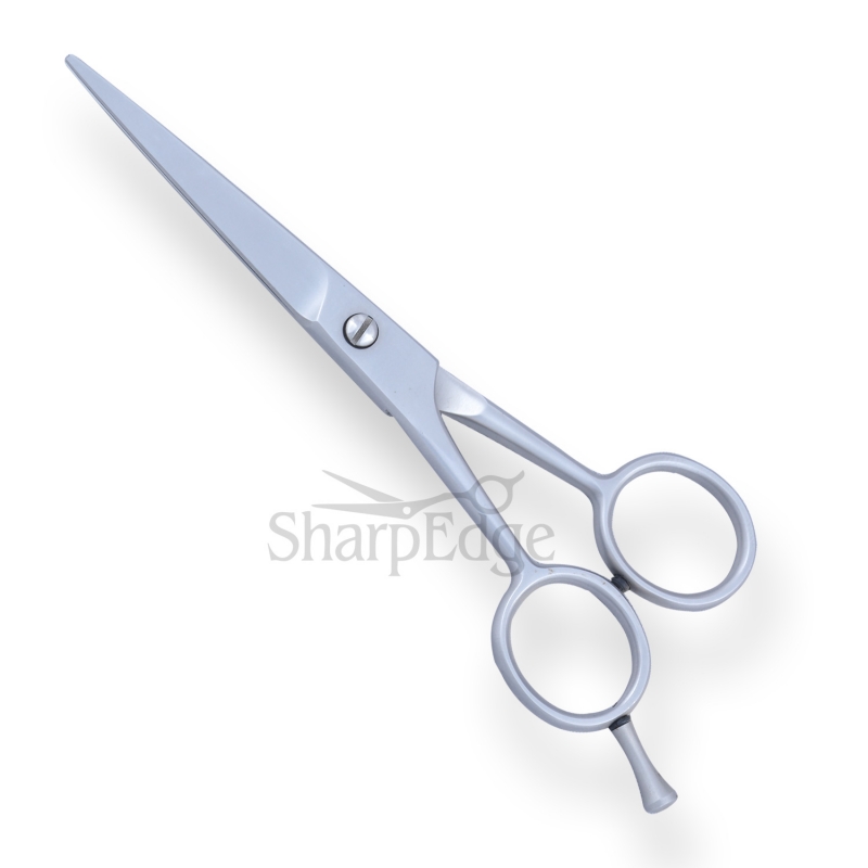 Professional Hair Dressing Scissors 